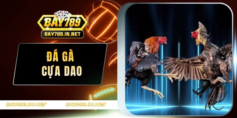 Đá Gà Cựa Dao