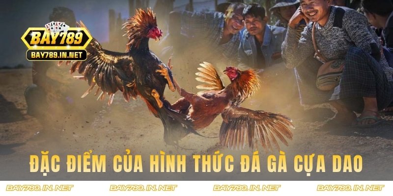 Đặc điểm của một trận đấu đá gà cựa dao
